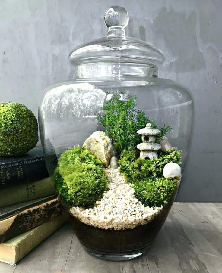 Choosing the Best Terrarium Container SelfSustaining Ecosystem