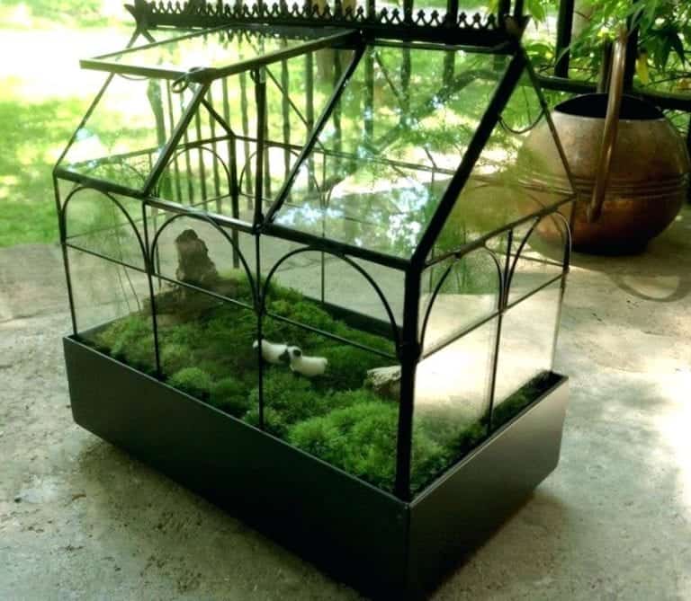 Choosing the Best Terrarium Container SelfSustaining Ecosystem